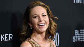 Diane Lane Took Kevin Spacey's Job